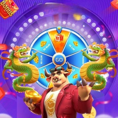djbet333