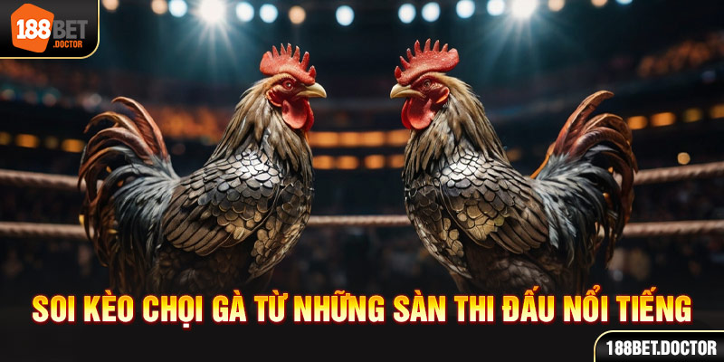 667bet .com