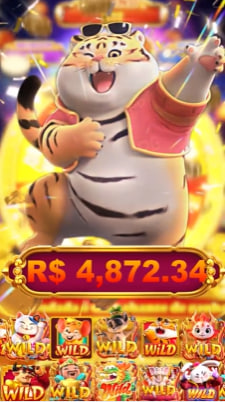 mr bit